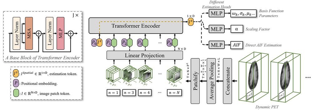 Figure from: Deep learning-derived arterial input function for dynamic brain PET