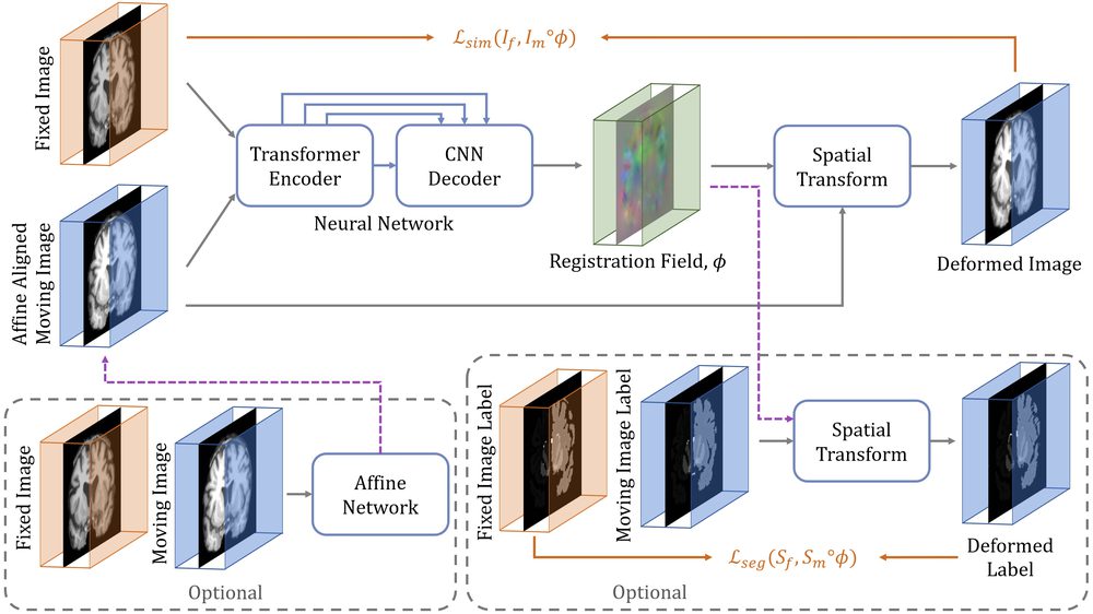 Figure from: TransMorph: Transformer for unsupervised medical image registration
