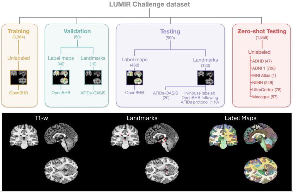 Figure from: Beyond the LUMIR challenge: The pathway to foundational registration models