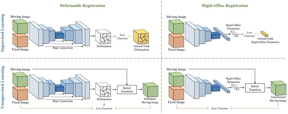 Figure from: A survey on deep learning in medical image registration: New technologies, uncertainty, evaluation metrics, and beyond